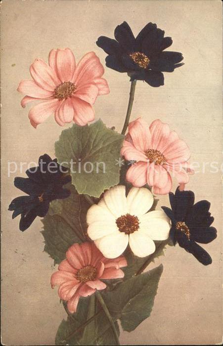 Blumen