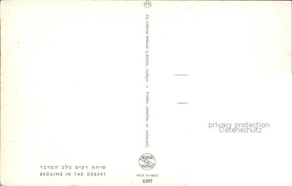 Beduinen Kamel Wüste – Bild 2