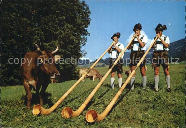 Alphorn Alphornbläser Kuh