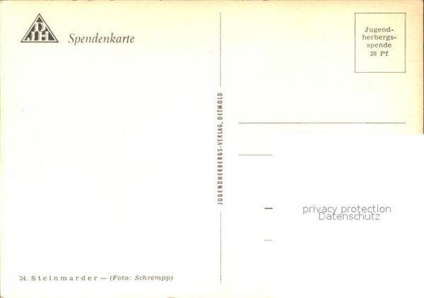 Tiere Steinmarder Spendenkarte – Bild 2