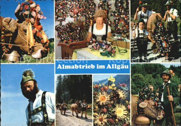 Kuehe Almabtrieb Allgäu