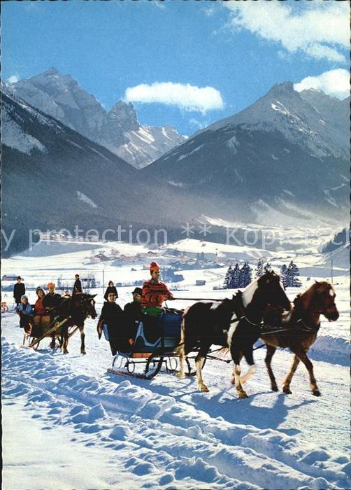 Pferde Pferdeschlitten Stubaital