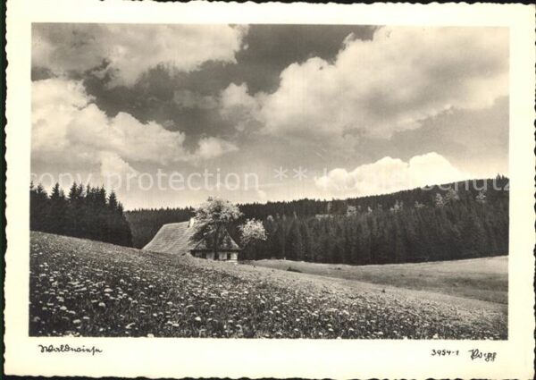 Foto Popp Nr. 3954-1 Landschaft Natut