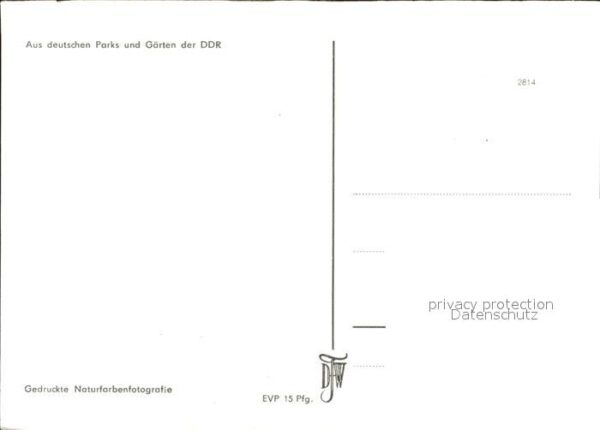 Blumen Park DDR – Bild 2
