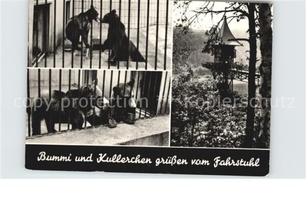 Baeren Bummi und Kullerchen Bad Schandau
