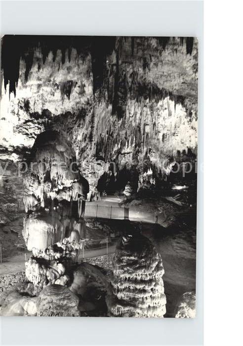 Hoehlen Caves Grottes Postojnska Jama Slowenien