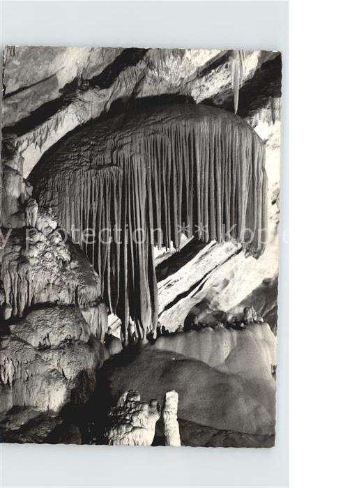Hoehlen Caves Grottes Postojnska Jama Slowenien