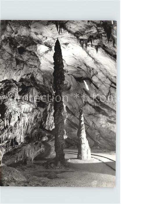Hoehlen Caves Grottes Postojnska Jama Slowenien