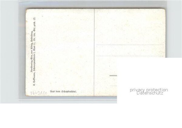 Hoffmann Heinrich Schapbachtal Schwarzwaldhaus – Bild 2