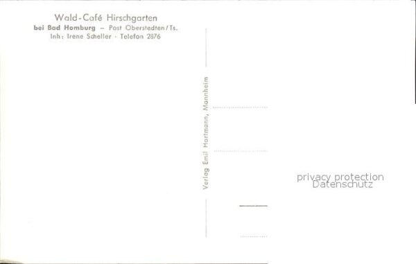 Bad Homburg Wald-Cafe Hirschgarten – Bild 2