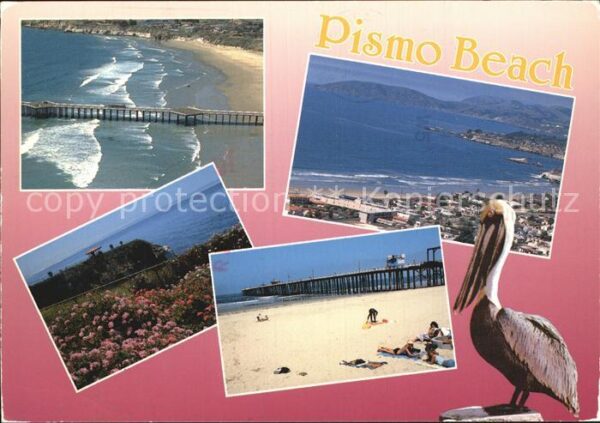 Pismo Beach Seebrücke Strand Pelikan