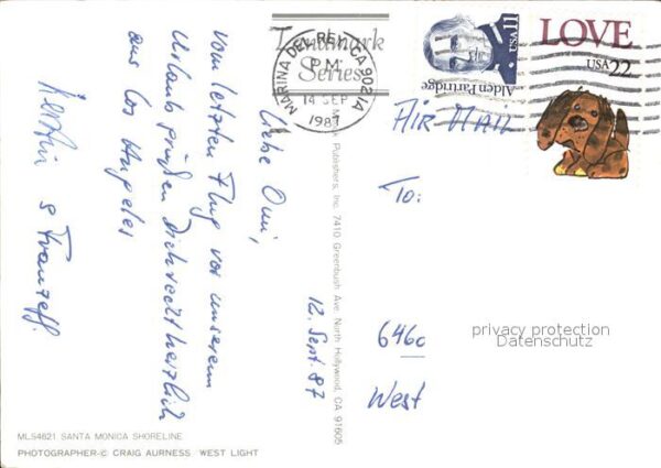 Southern Pines – Bild 2