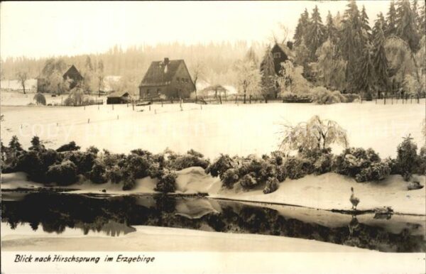 Hirschsprung Uferpartie am Fluss Winterpanorama