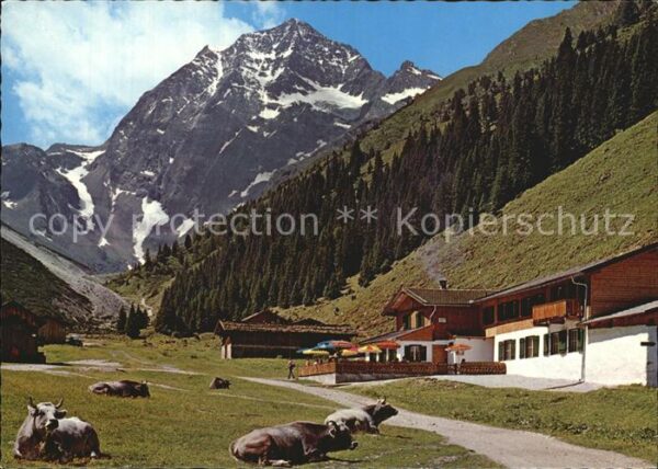 Neder Pinnisalm mit Habicht Stubaital Stubaie
