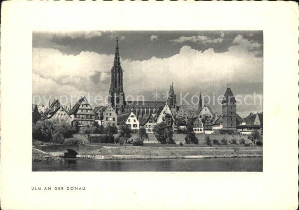 Ulm Donau Altstadt mit Münster