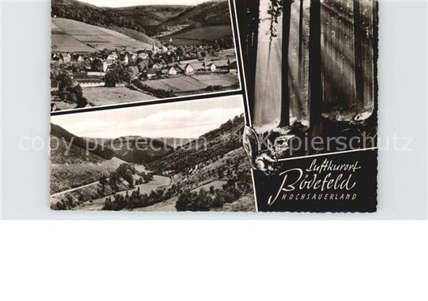 Boedefeld Panorama Waldpartie Eichhörnchen Luftku