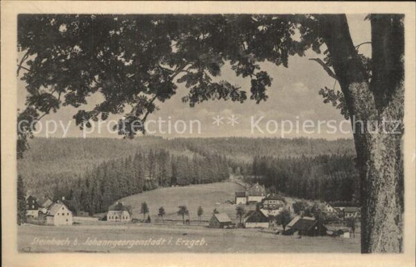 Steinbach Johanngeorgenstadt Panorama