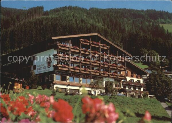 Zell See Gasthof Hotel Schwebebahn