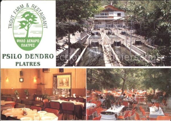Zypern Cyprus Restaurant Psilo Dendro Platres