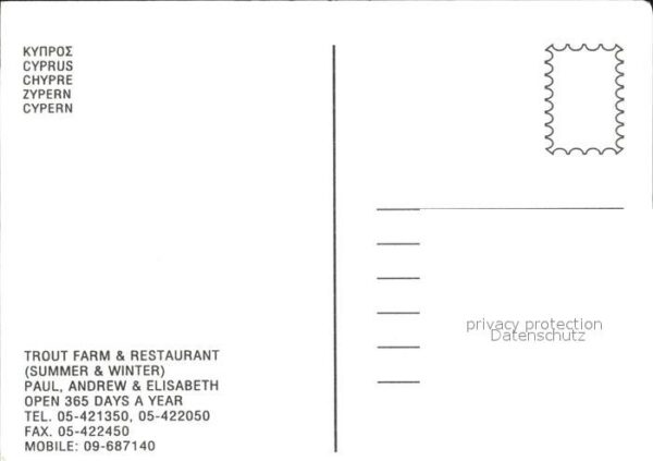 Zypern Cyprus Restaurant Psilo Dendro Platres – Bild 2