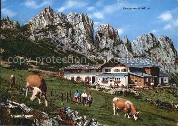 Chiemsee Steiningeralm mit Kampenwand