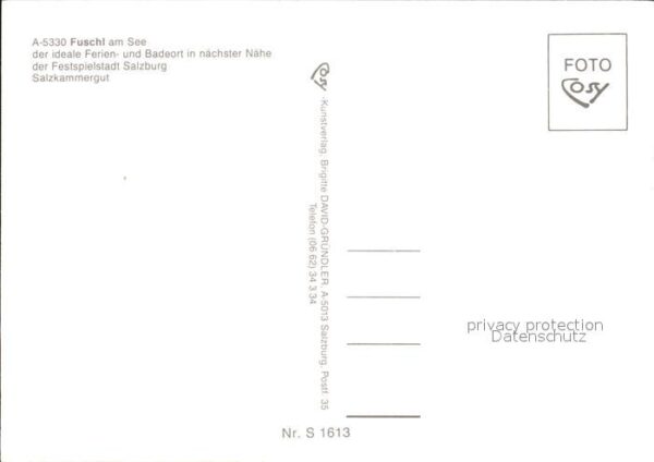Fuschl See Salzkammergut Fliegeraufnahme – Bild 2