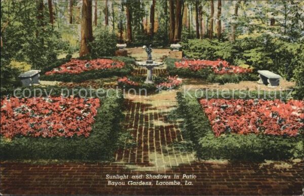 Lacombe Louisiana Patio Bayou Garden
