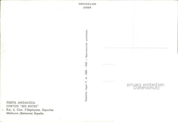Andalusien Andalucia Stolzer Reiter – Bild 2