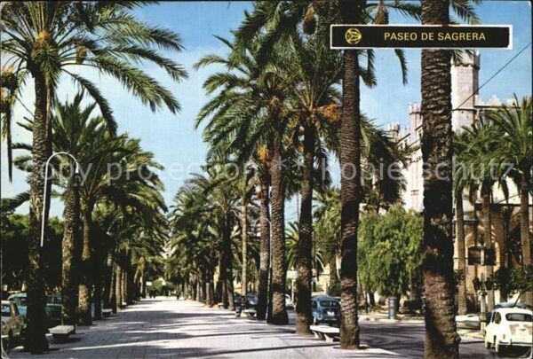 Palma de Mallorca Paseo de Sagrera