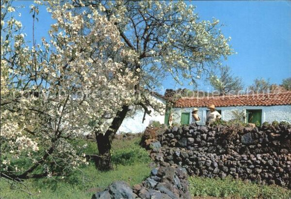 Teide (Berg) Einsiedler