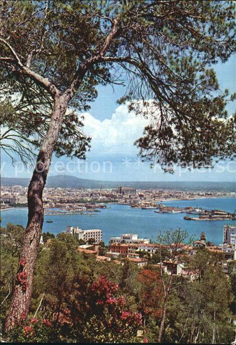 Palma de Mallorca Gesamtansicht