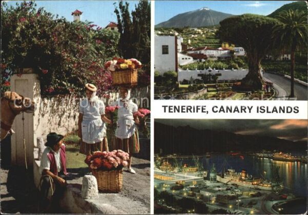 Tenerife Hafen bei Nacht Blumenfrauen