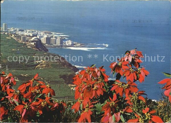 Tenerife Nordküste mit Puerto de la Cruz
