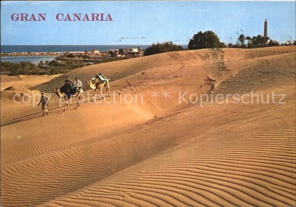 Maspalomas Kamelreiter auf der Düne