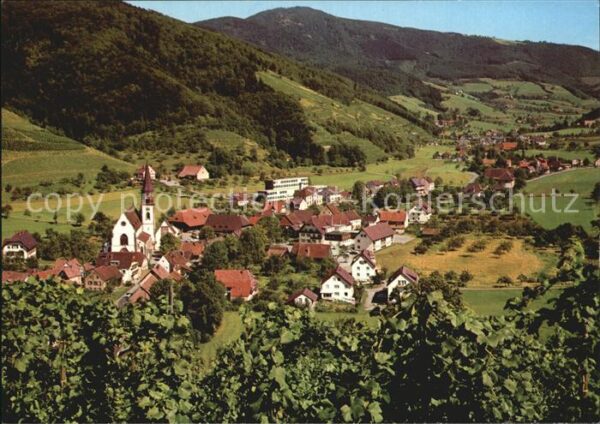 Glottertal Panorama Schwarzwald Weinreben