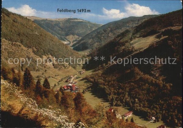 Zell Wiesental Blick ins Wiesental bis zum Feldberg Sc