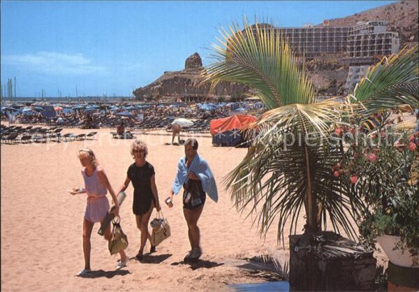 Puerto Rico Gran Canaria Strand Hotels Palmen