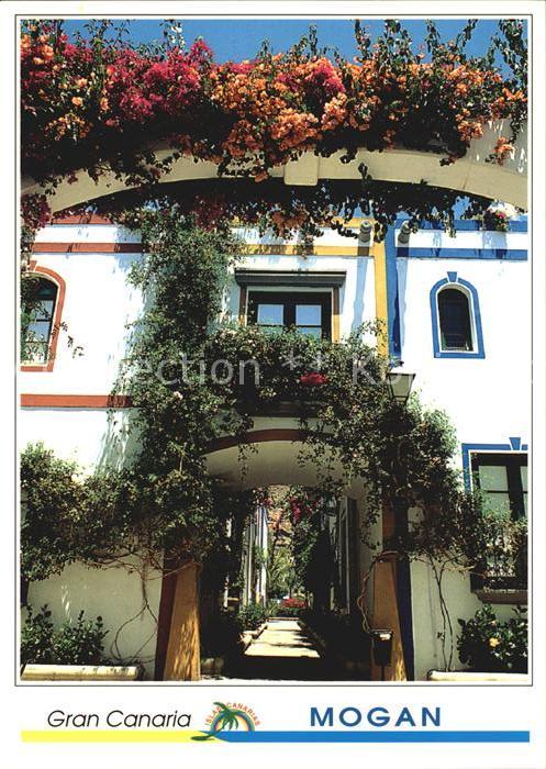 Mogan Wohnhaus Blumenschmuck Hinterhof