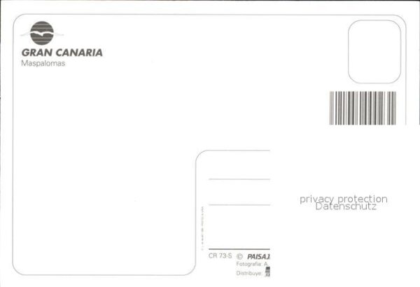 Maspalomas Dromedar Wüste – Bild 2