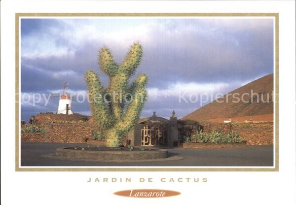 Lanzarote Kanarische Inseln Jardin de Cactus Molino Kakteen Windmüh