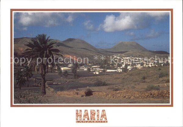 Haria Panorama Palmen