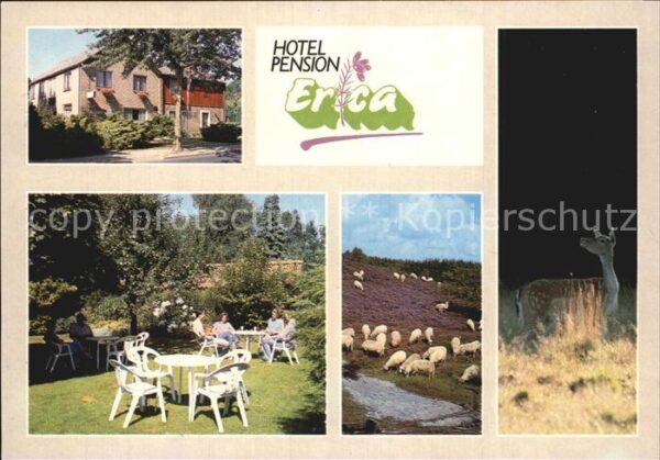 Rheden Gelderland Hotel Pension Erica