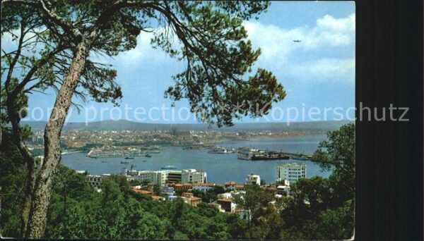 Palma de Mallorca Panorama