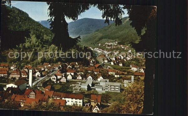 Calmbach Enz Luftaufnahme