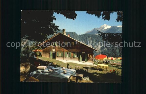 Mayrhofen Zillertal Gasthaus Zimmereben
