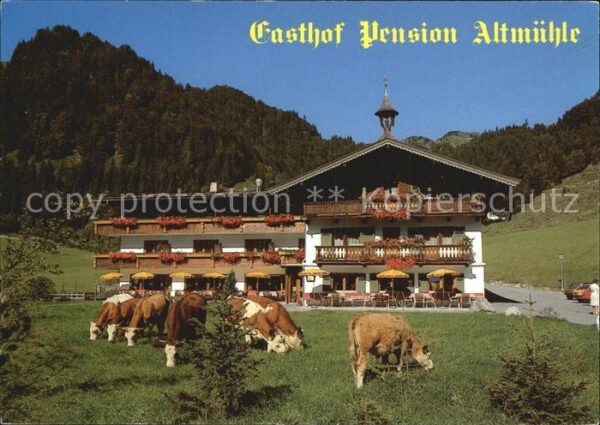 Kirchdorf Inn Oberoesterreich Gasthaus Pension Altmühle