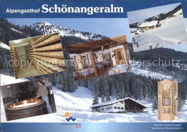 Wildschoenau Tirol Alpengasthof Schönangeralm Gaststube Kä