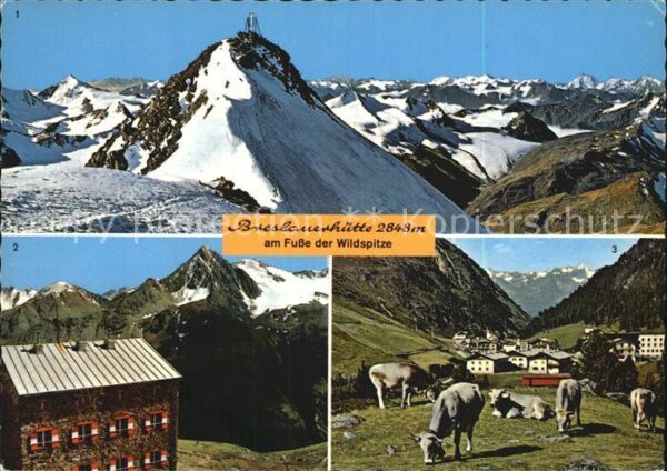 Breslauerhuette mit Wildspitze und Vent Weidevieh