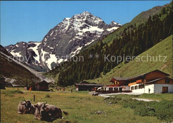 Stubaital Alpengasthaus Pinnisalm