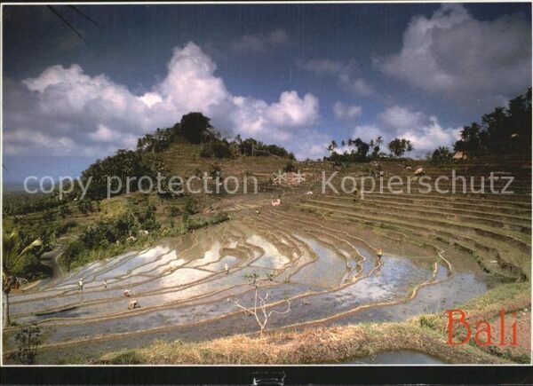 Bali Indonesien Bukit Jambul Besakih